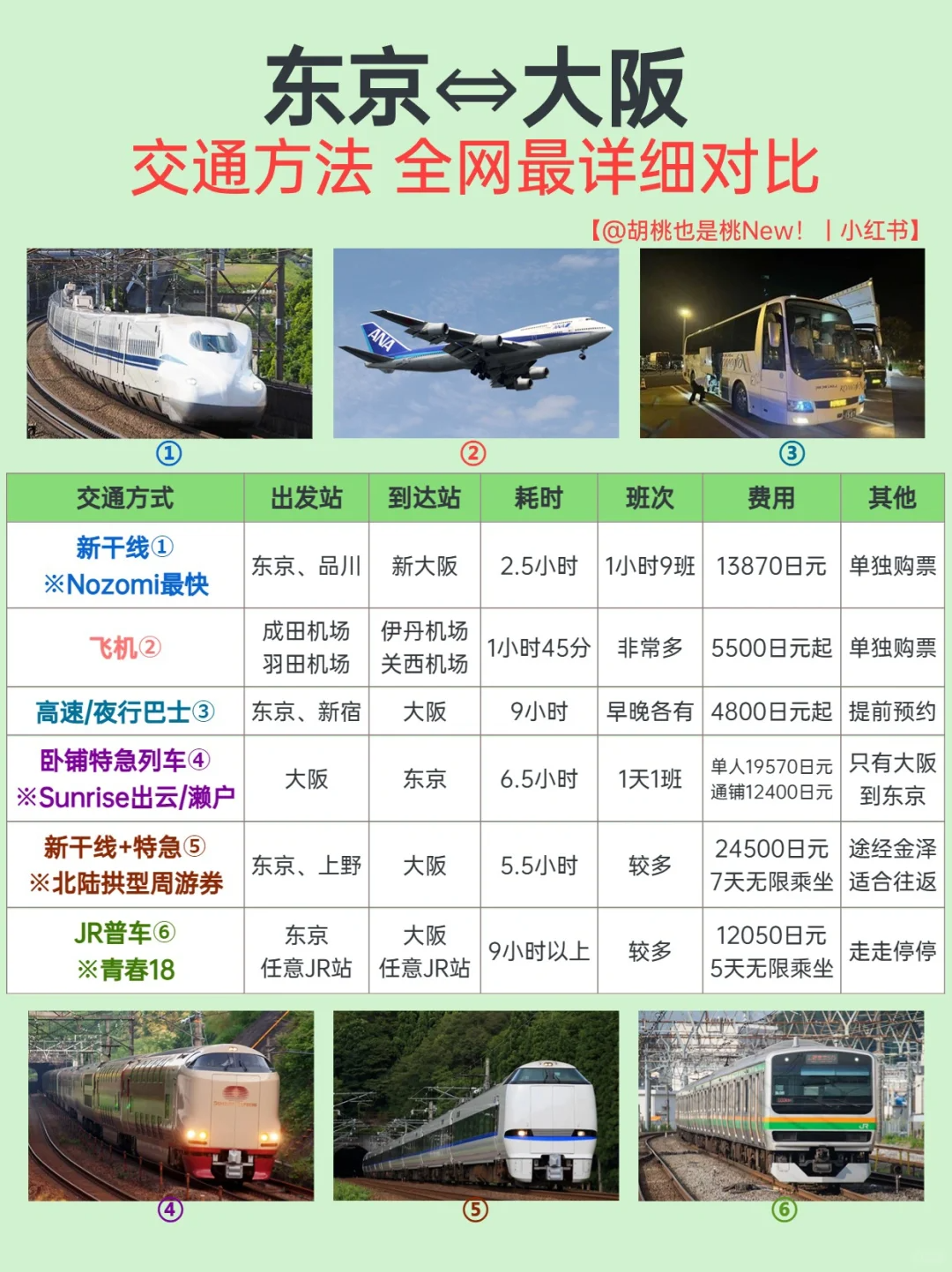 image-20241228133404853